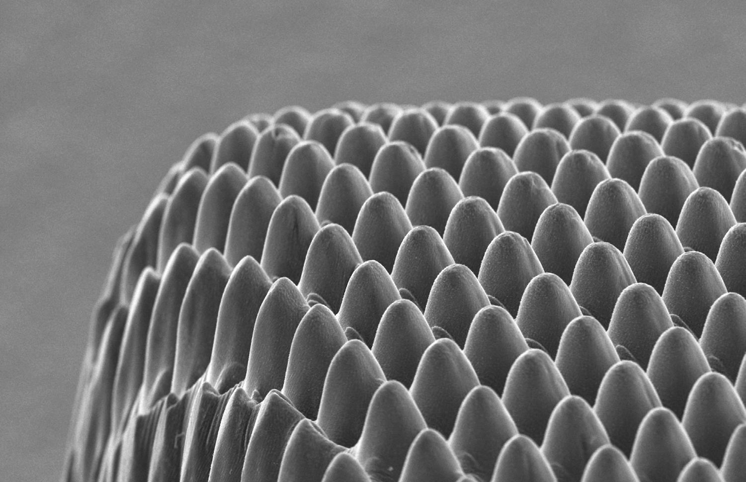 Application-micromachining-textured steel surface-Lightmotif