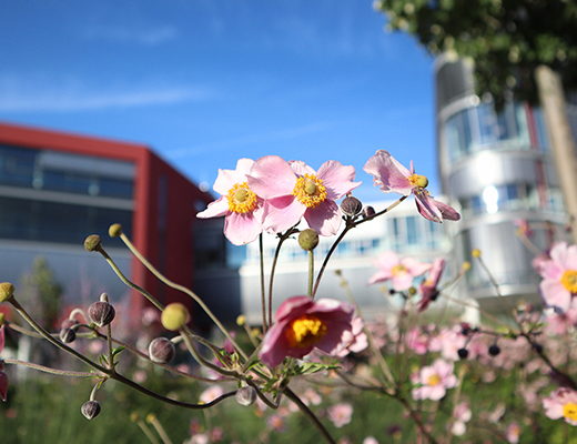 Sustainability SCANLAB